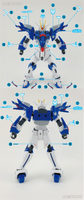 HG Rising Freedom (Water Decal)