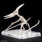 Plannosaurus Pteranodon Model Kit