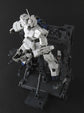 MG Unicorn Gundam HD Color + MS Cage (Screen Image Special)