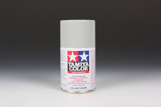 TS-81 Royal Light Gray (100ml Spray Can)