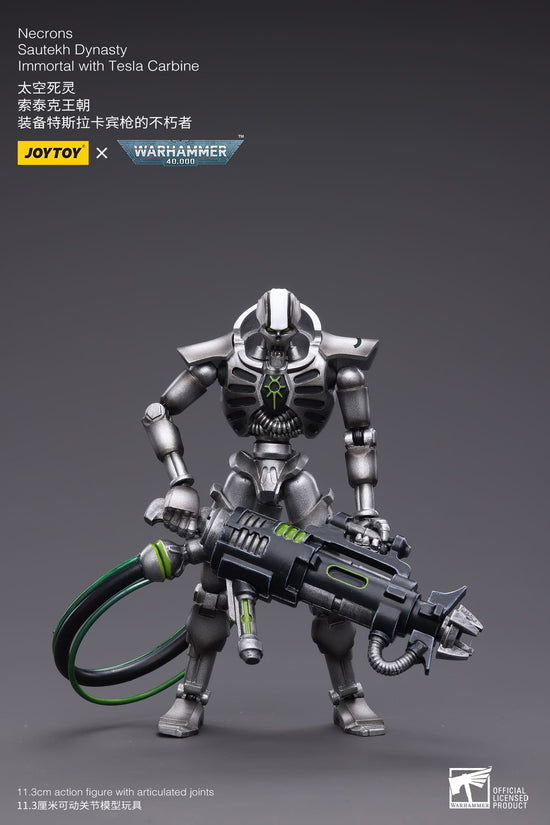 Joy Toy WH40K-Necrons Sautekh Dynasty Immortal with Tesla Carbine