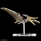Plannosaurus Pteranodon Model Kit