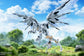 Daytime Meteor 1/12 Scale Model Kit (Pre-Order)