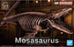 Imaginary Skeleton Mosasaurus 1/32 Scale Model Kit
