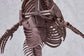 Imaginary Skeleton Mosasaurus 1/32 Scale Model Kit