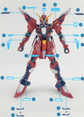 HG Immortal Justice (Water Decal)