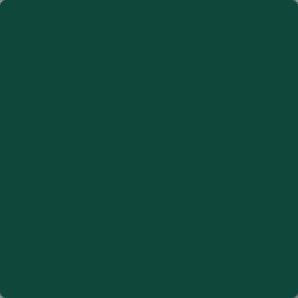 Mr. Color Dark Green (Kawanishi) (10ml)