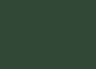 Mr. Color Flat Olive Drab (2) (10ml)