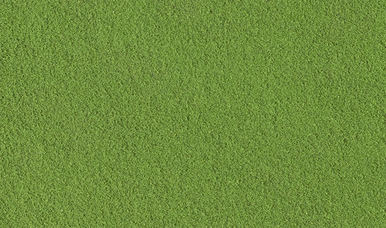 TURF-GREEN GRASS