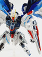 MG FREEDOM 2.0 WATER DECAL
