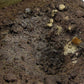 AKI Diorama Effects - Terrains Muddy Ground 250ml