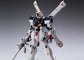 MG Crossbone Gundam X-1 Ver.KA