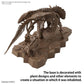 Imaginary Skeleton Triceratops 1/32 Scale Model Kit